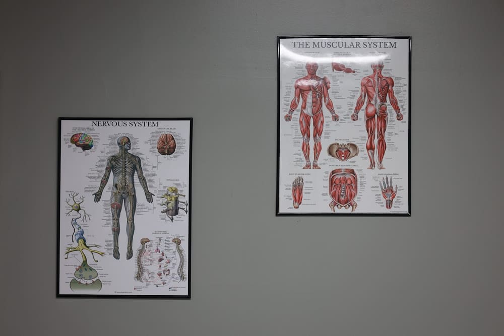 Anatomy instruction in an NPTI classroom